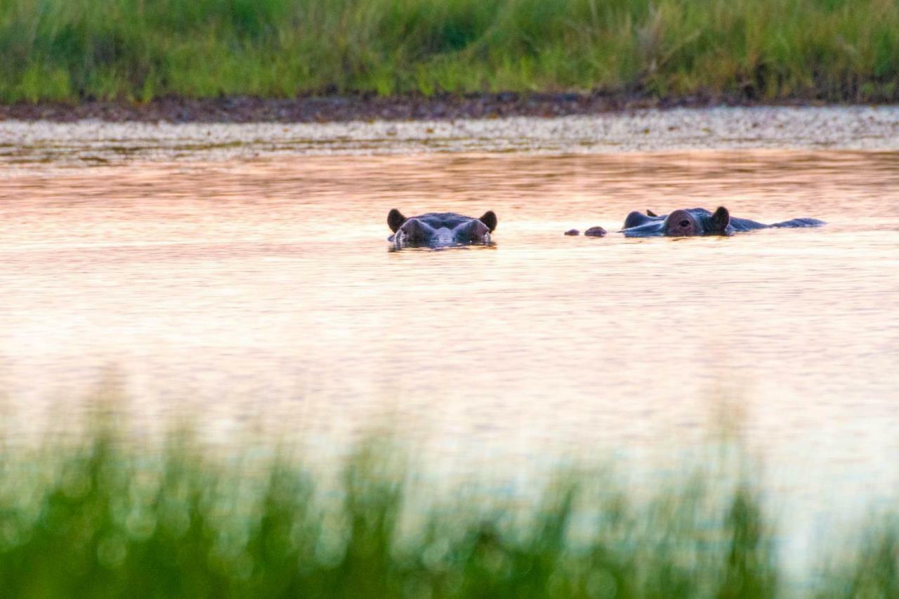 Sitatunga Campsite ماون المظهر الخارجي الصورة